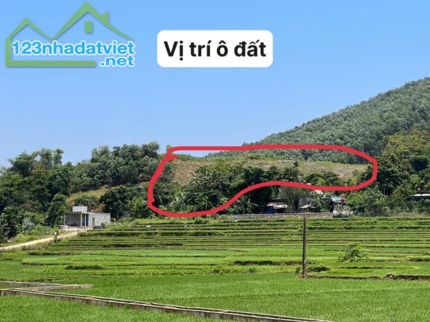 Bán đất Kim Bôi-Hòa Bình 5000m2,tiềm năng,view đẹp giá 2,2 tỷ - 2