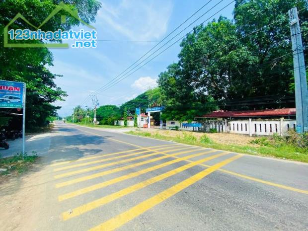 Lô C3, đất biển Phan Thiết là nơi phát triển bậc nhất, khu đất vàng của giao thương, dlịch - 1