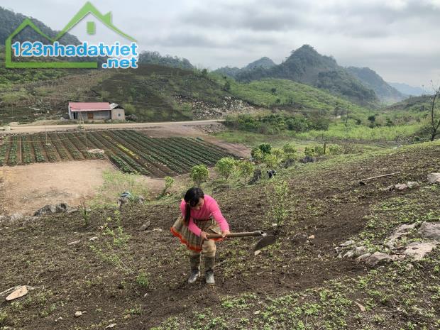 Cần bán ngay lô đất 2.1 ha tại Tà Số, Mộc Châu, có thổ cư, giá thỏa thuận. - 3