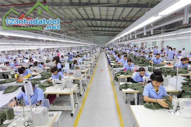 chuyển nhượng NX SX trong KCN Bàu Xéo, tiếp cận nhiều DNNN, nguồn vốn FDI, - 1