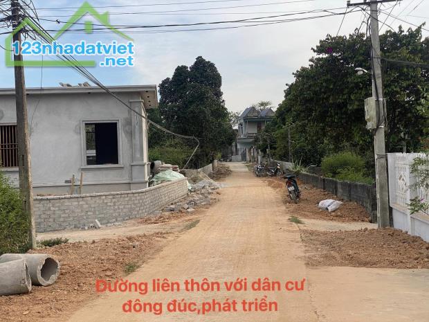 Khu dân cư mới Triệu Thành Central - 4