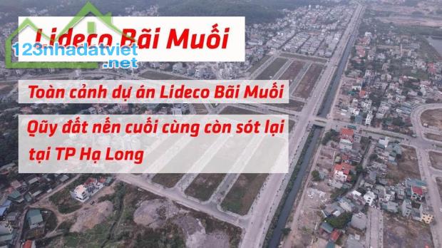 Bán đất nguồn ngoại giao giá rẻ dự án Lideco Bãi Muối - Cao Thắng - Hạ Long.