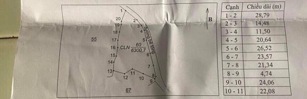 ĐẤT ĐẸP – GIÁ TỐT - CHÍNH CHỦ Cần Bán Khu Đất Cây Lâu Năm Xã Măng Cành, Kon Plong, Kon Tum - 2