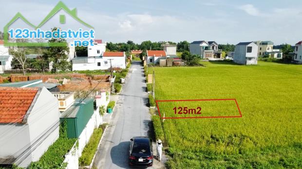 Cần bán một số lô đất đẹp Thôn Hoàng Văn, xã Đông Phú, huyện Đông Sơn, Thanh Hóa 125m2 - 1