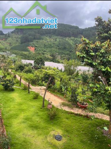 🏆Bán đất tại xã Tà Nung Đà Lạt diện tích 2000m2 giá 12 tỷ - 1