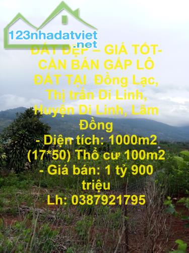 ĐẤT ĐẸP – GIÁ TỐT- CẦN BÁN GẤP LÔ ĐẤT TẠI  Đồng Lạc, Thị trấn Di Linh, Huyện Di Linh, Lâm