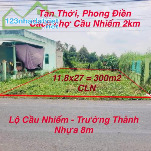 Nền Đẹp 300m2 Mặt Tiền Lộ Nhựa 8m, Cầu Nhiếm - Trường Thành, Phong Điền