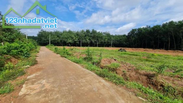 Kẹt tiền bán lô đất (15x65m=1000m2) sổ hồng riêng, giá 339 triệu, sát dân, gần chợ, trường