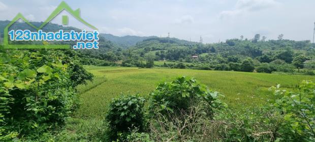 Bán 510m đất Lương Sơn Hòa Bình đường oto tránh gần QL6 giá chưa đến 2 tỷ - 2