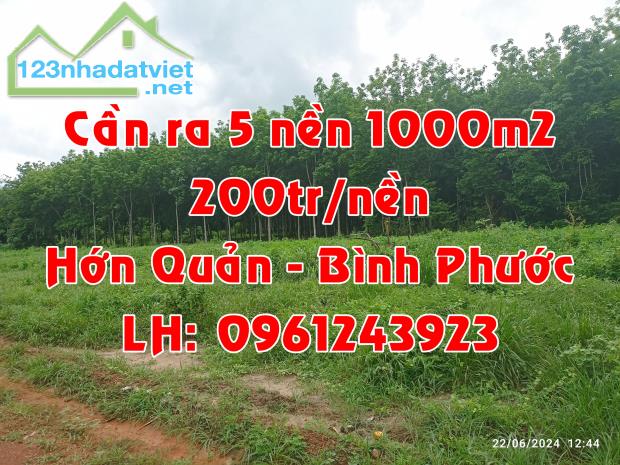 SỈ 5 NỀN 200TR/NỀN/1000M2 TẠI HỚN QUẢN, BÌNH PHƯỚC