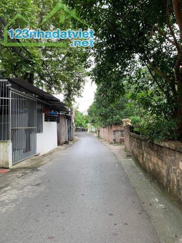Bán nhà mặt phố Phạm Hồng Thái, Liên Bảo, Vĩnh Yên. DT 116m2 - 1