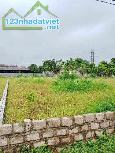 Cần bán đất Lương Sơn, Hòa Bình 463m2, giá 2,8 tỷ - 4