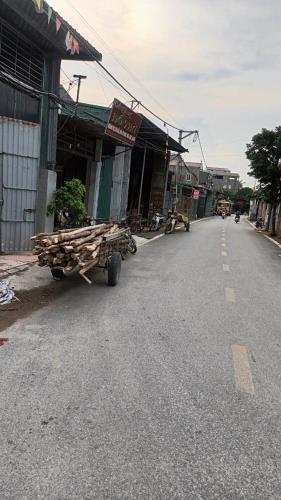 Bán em cực phẩm đấu giá Áng Phao, Cao Dương, Thanh Oai giá đầu tư - 1