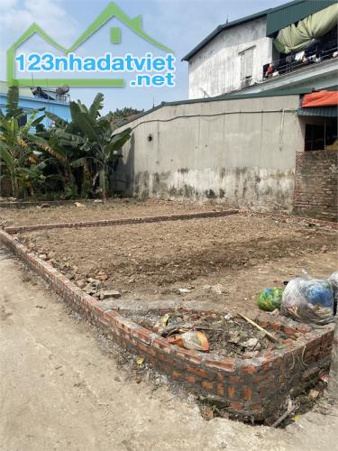 Bán nhanh 41,5m² tại Hiền Lương - Hiền Ninh - Sóc Sơn. Đường thông, Giá 6xxtr. - 1