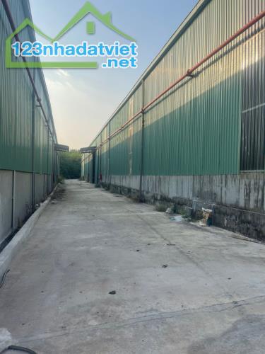 Cho Thuê Kho Xưởng Phú Giáo, Bình Dương - Diện Tích 7.000m², Giá 2 USD/m² - 1