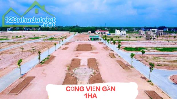 Nhà phố Phương Trường An đối diện công viên - 1