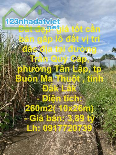 Đất đẹp- giá tốt cần bán gấp lô đất vị trí đăc địa tại tp Buôn Ma thuột , tỉnh Đắk Lắk - 4