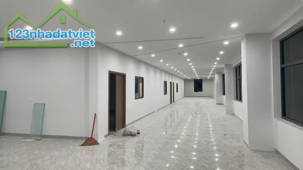 Bán Xưởng An Lập, Dầu Tiếng, Bình Dương - Diện Tích 24.000m2 - Giá 153 Tỷ - 2