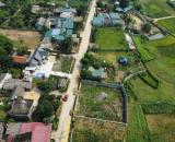 Bán gấp đất Lương Sơn, Hòa Bình 554m2, giá 2,4 tỷ