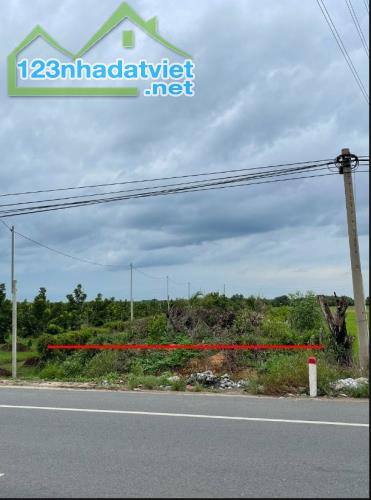 Bán đất chính chủ đường DT 784 Ấp 2 - Bàu Đồn - Gò Dầu - Tây Ninh
