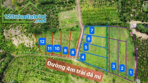 Bán Đất Tam Giang, Krongnang, Đaklak Giá 99tr/Lô trên 500m2 - 5