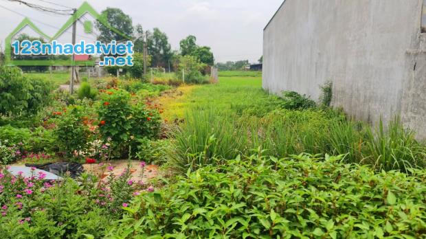 Bán Đất 10x20m đường xe hơi ấp Bình Lợi, xã Hòa Khánh Đông, Đức Hòa, Long An giá 1.28 tỷ - 1
