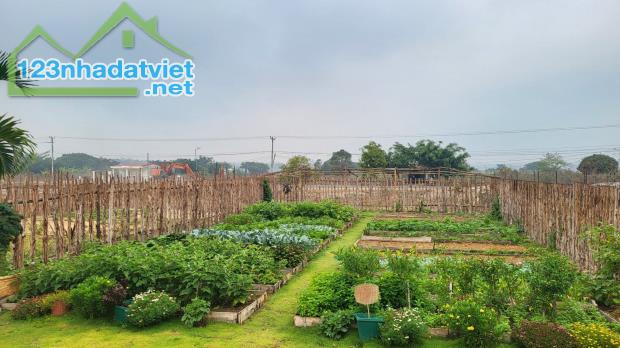 Bán đất nền du lịch tại Pleiku- gần dự án Khu Biển hồ Village - 2