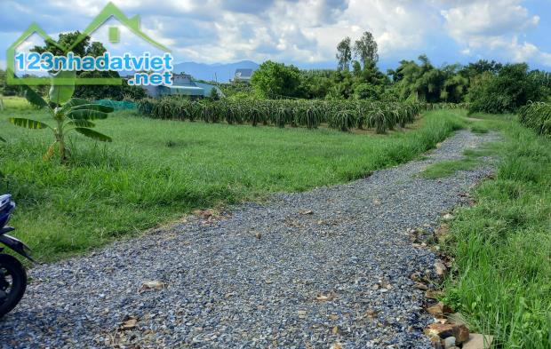 Đại Hạ Giá-Đất Hàm Mỹ-Hàm Thuận Nam-Gồm 3 thửa LK: 640m2+2.267m2+5.733m2