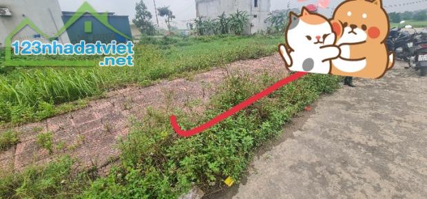 Bán đất khu Gò Xoan, Thanh Vân, Tam Dương, Diện tích 108m2.lh 0855974289 - 3