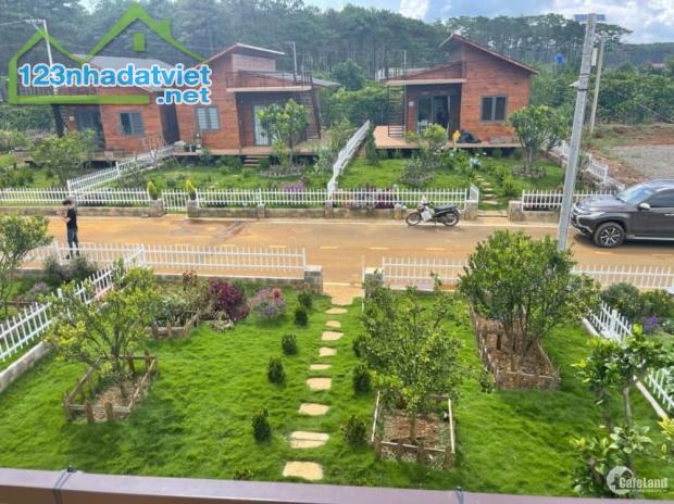 Bán đất cách biển hồ 700m có sẵn bungalow và vườn nông sản giá chỉ 2.3 tỷ - 3