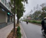 Bán nhà Mặt phố Đại lộ Chu Văn An - The Maner Central Park - Vị trí số 1 - Mặt tiền 35m.