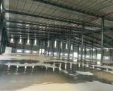 Cho Thuê Xưởng 20.000 m2 Trong KCN B.Dương Xưởng Mới 11.000m2