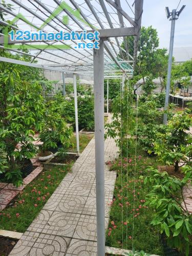 Bán nhà vườn Bình Chánh, đường Vườn Thơm, 1137m2, hẻm xe tải, cực đẹp, giá rẻ - 5