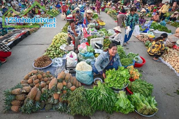 [BÁN GẤP] Đất sào 1000m2 sổ riêng giá 350Triệu bao sổ, dân đông, gần chợ TT Bình Phước - 4