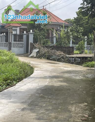 Chính chủ cần bán lô đất đẹp  full thổ cư tại Huyện Thường Tín - Tp Hà Nội - 1