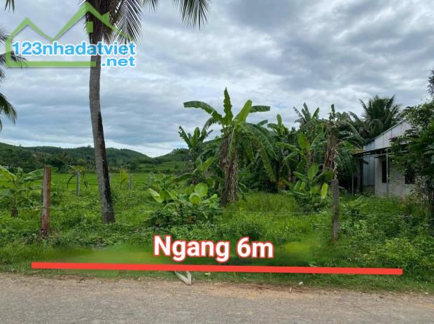 Bán đất Diên Xuân giá rẻ mặt tiền đường nhựa Xuân Trung - gần Tỉnh Lộ 8 - 2