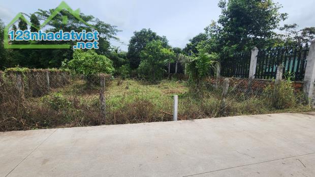 bán đất 5,2x20m giá đầu tư 800tr, đường bê tông xã Tân Phú, Đức Hòa, Long An 0786.7978 99 - 3