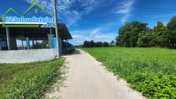 bán đất 5,2x20m giá đầu tư 800tr, đường bê tông xã Tân Phú, Đức Hòa, Long An 0786.7978 99