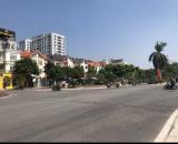Chính Chủ cần bán căn Biệt thự đã hoàn thiện tại khu BT03, khu đô thị Việt Hưng, Q. Long