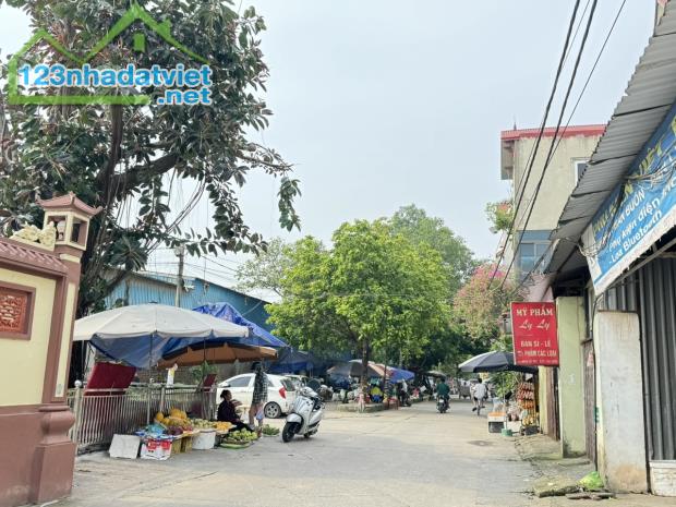 Bán đất thôn Do Thượng, Tiền Phong, Mê Linh, Hà Nội, oto ngủ trên đất, 85m, giá 2,26 tỷ. - 4