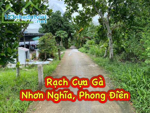 Cặp Nền Đẹp 120m2 Rạch Cựa Gà, Nhơn Nghĩa, Phong Điền. - 1