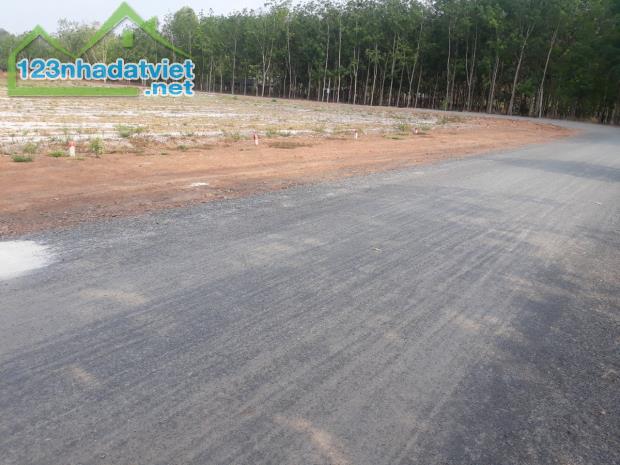 SANG LẠI 157M2 ĐẤT THỔ CƯ SHR NGAY CHỢ THANH LƯƠNG TX BÌNH LONG DÂN ĐÔNG GIÁ 180 TRIỆU - 5