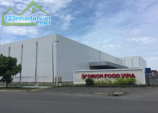 SANG LẠI 157M2 ĐẤT THỔ CƯ SHR NGAY CHỢ THANH LƯƠNG TX BÌNH LONG DÂN ĐÔNG GIÁ 180 TRIỆU - 2