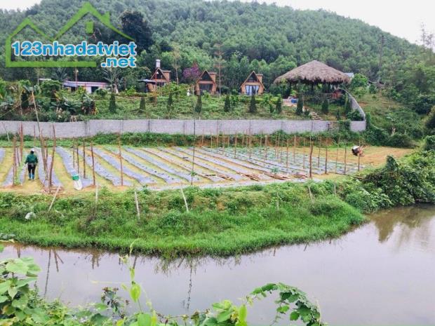 Bán gấp resort mini có tổng diện tích đất lên đến 4846m2 trong đó có 250m2 đất thổ cư còn - 3