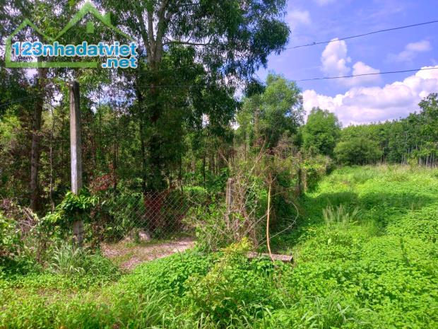 Bán đất 2MH An Nhơn Tây Củ chi, 12.3Ha, N83m, Đường 4m hạ chào hơn 13 tỷ