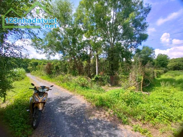 Bán đất 2MH An Nhơn Tây Củ chi, 12.3Ha, N83m, Đường 4m hạ chào hơn 13 tỷ - 1