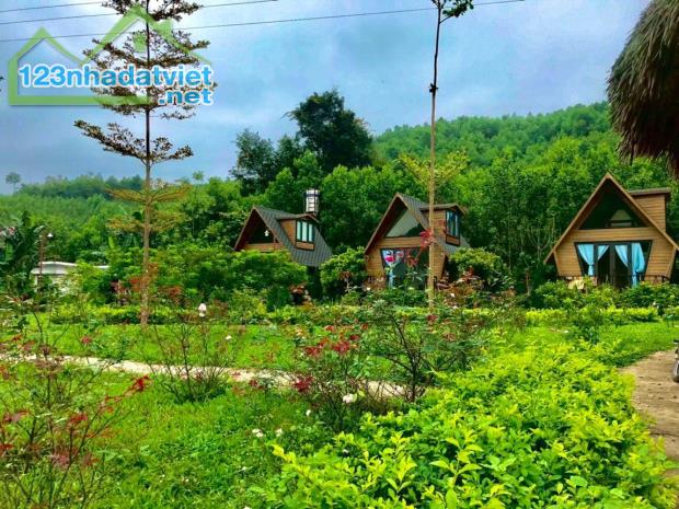 Bán gấp resort mini có tổng diện tích đất lên đến 4846m2 trong đó có 250m2 đất thổ cư còn - 4