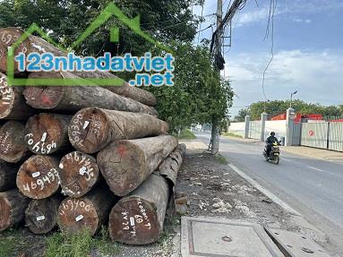 Gỗ cam xe (WpL) cưa qui cách khuôn bao , đố cửa, ván trám , Tây than 6 vuông ,7 vuông - 3