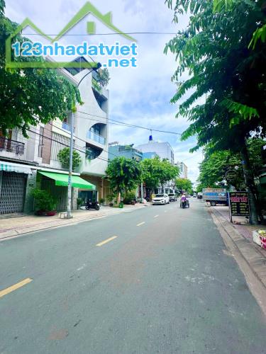 Bán nhà mặt tiền đường Nguyễn Ngọc Nhựt phường Tân Quý Tân Phú - 5
