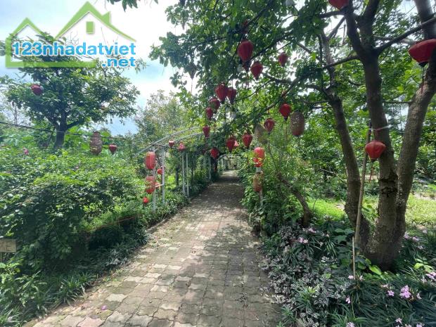 Cần bán 1000m2 đất nhà vườn tại Tứ Liên, Tây Hồ, Hà Nội, giá chỉ 1.7 tỷ - 4